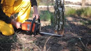 Lawn Irrigation Installation and Maintenance in Moultrie, GA
